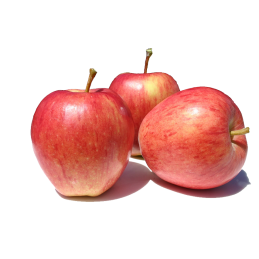 Pommes  Royal Gala