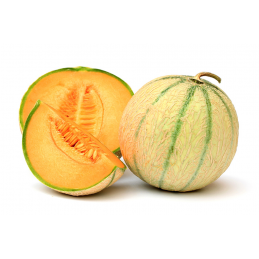 Melon Charentais Vert